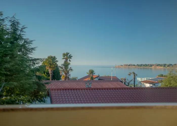 Angelica 2 Novigrad Istria