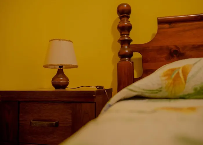 Angelica 2 Novigrad Istria