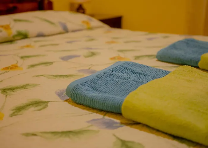 Angelica 2 * Novigrad Istria